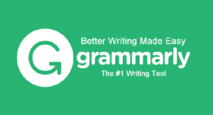 Grammarly Tool For Bloggers