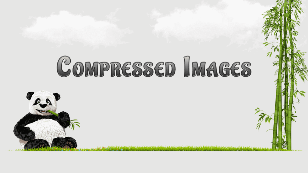 Compressed image